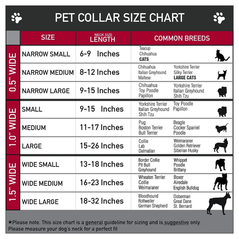 [Australia] - Buckle-Down Dog Collar Plastic Clip Steal Your Face Lightning Bolt Repeat Red White Blue 8 to 12 Inches 0.5 Inch Wide 1/2" Wide - Fits 9-15" Neck - Large 
