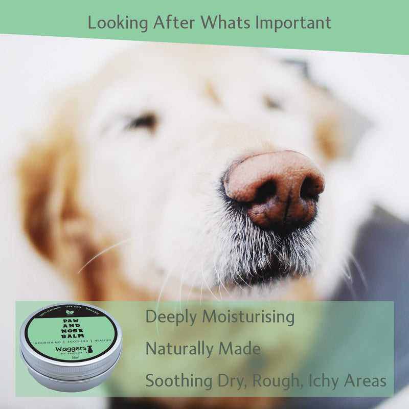 Waggers Pet Company Organic Dog Nose And Paw Balm | 100% Natural | Relieve and Prevent Cracked Paws And Itchy Nose | Lick Safe Paw Cream And Fragrance-Free Wax Balm - PawsPlanet Australia