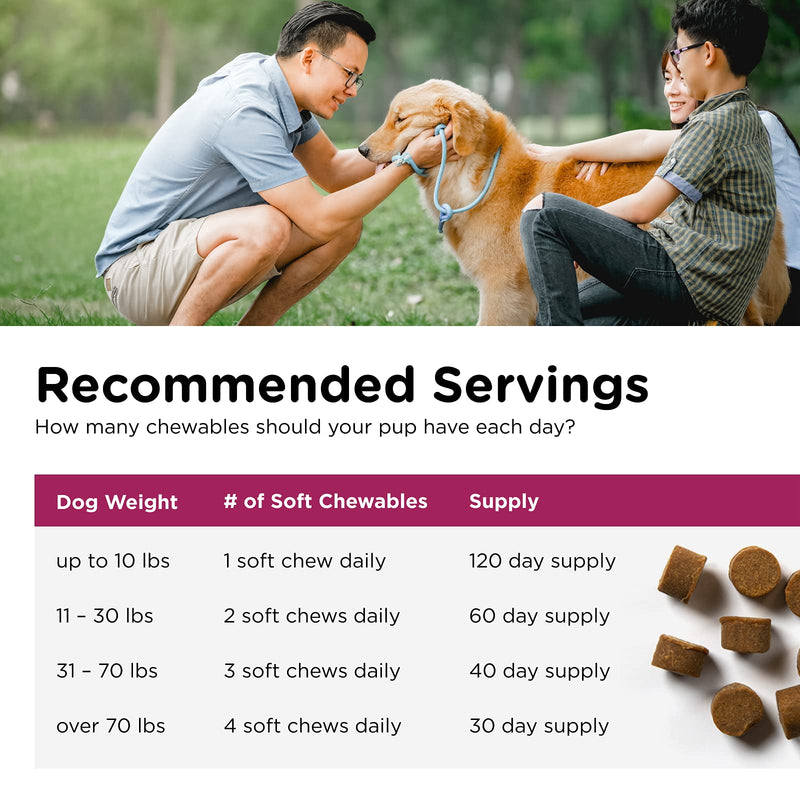 Nutri-Vet Pre and Probiotic Soft Chews for Dogs | Digestive Health Support Dog Probiotics | Tasty Alternative to Dog Probiotic Powder | 120 Soft Chews - PawsPlanet Australia