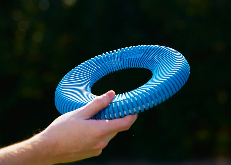 [Australia] - CHUCKIT! Rugged Flyer Dog Toy Large 