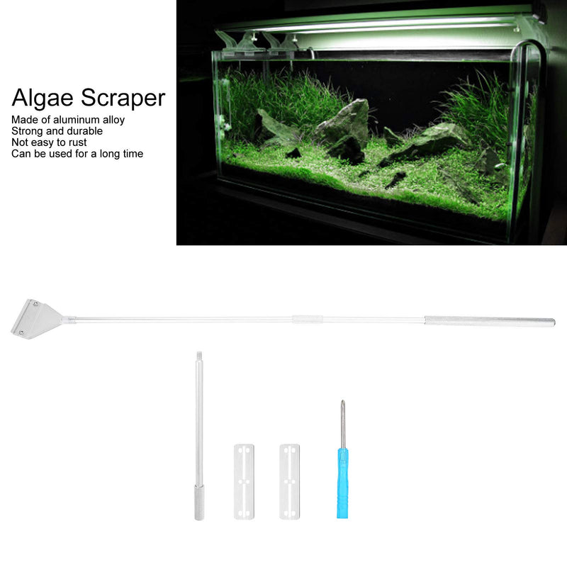 Asixxsix Algae Scraper, Aluminium Alloy Incisive Algae Cleaning, Right‑Angle Blade Glass Cleaners for and Plant Glass Tank Fish Tank Aquarium Silver - PawsPlanet Australia