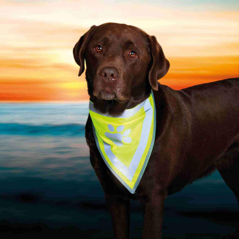 Trixie Safer Life Neckerchief for Dog, 42 cm S-M 29 - 42 cm - PawsPlanet Australia