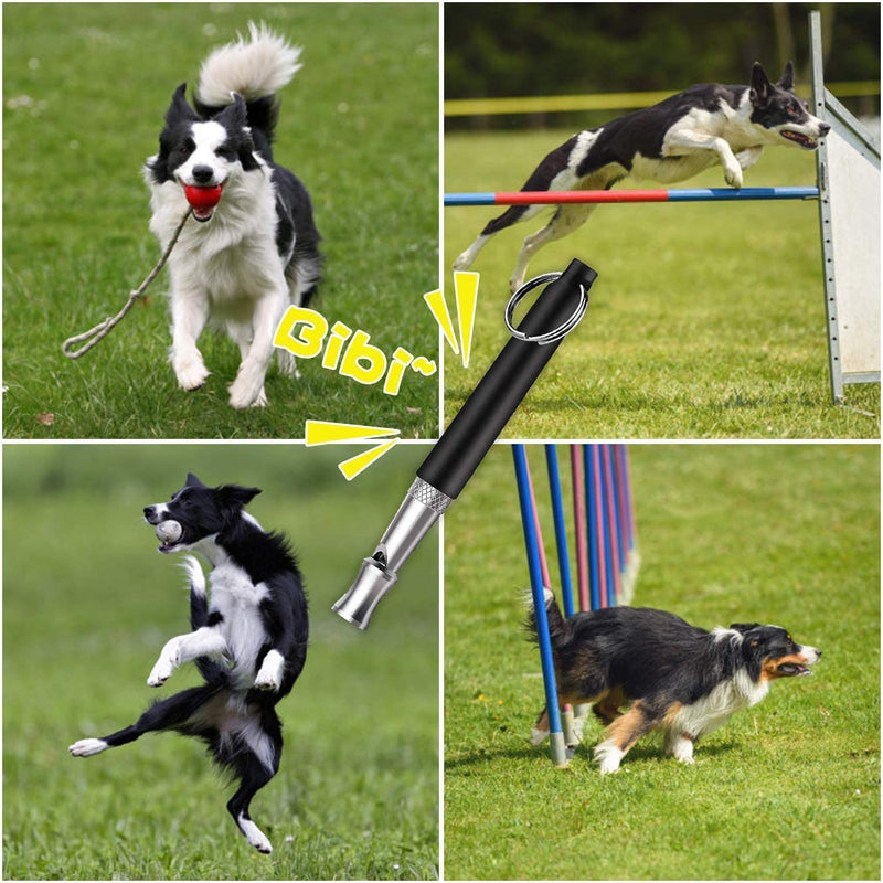 2 Pack Dog Whistle, Ultrasonic Stainless Steel Dog Whistle to Stop Barking Adjustable Dog Whistle with Lanyard Strap to Make Dogs Come to You Professional Dog Training & Behavior Aids for Large Dogs - PawsPlanet Australia