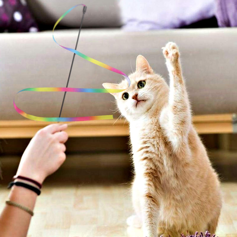 Broadsheet 6Pcs Cat Wand Toys for Indoor, Colorful Cat Toys Interactive Cat Wands, Rainbow Ribbon Wand with Bell and Feather Fishing Pole Toy for Kittens Training Pets Exerciser, Multicolor - PawsPlanet Australia