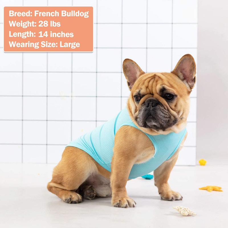 kyeese 2 Pack Dog Shirts Quick Dry Lightweight Dog T-Shirts with Reflective Label Tank Top Sleeveless Dog Vest for Small Dogs Great for Summer Flamingo Pattern Large 2Pack (Flamingo+Blue) - PawsPlanet Australia