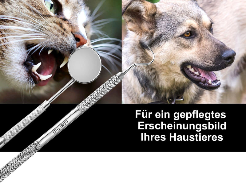 Dog Tartar Remover Set Scaler Tooth Cleaner for Pets Toothbrush Replacement Made of Stainless Steel Teeth Cleaning Dental Care Tartar Scraper (Type 26) Type 26 - PawsPlanet Australia