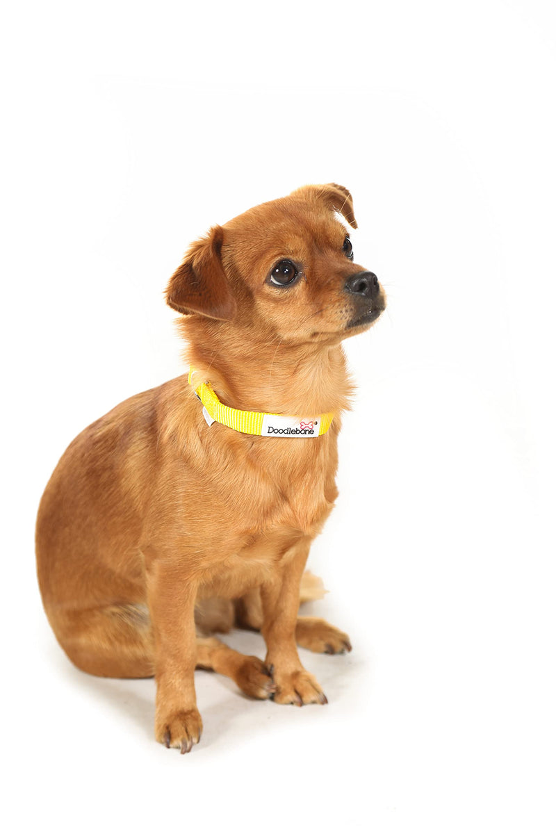 Doodlebone Originals Dog Collar (Apple, 1 -2) Apple - PawsPlanet Australia