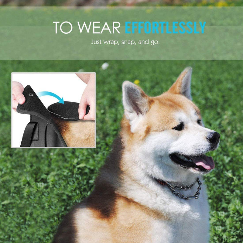 BundleMall Dog Auxiliary Strap Traction Belt,Convenient Dog Down Stairs and Outdoor Activities Walking Auxiliary Belt,for Disable, Injured, Elderly Pet (medium, black) medium - PawsPlanet Australia