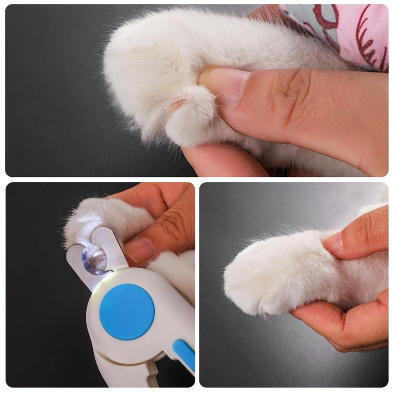 Cat claw scissors, nail clippers with LED light for dogs and cats, with nail file and splash-proof protection device, professional trimmer tool for medium-sized small animals, pets, claw care - PawsPlanet Australia