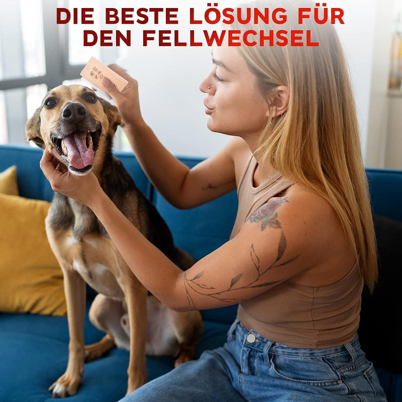 QASIOUN 2X Pet Grooming Brush - Deshedding Pet Grooming Brush for Dogs and Cats - Pet Hair Remover for Long-Haired, Medium- and Short-Haired Pets - Effective Removal of Undercoat - PawsPlanet Australia