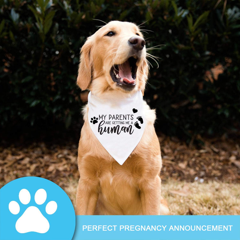 Pregnancy Announcement Dog Bandana - Guess What? My Mom is Pregnant Reveal Scarf - Washable Pet Accessories Made with Soft Cotton - Fits Small to Large Pups - Cute Guess What? Mom Is Pregnant - PawsPlanet Australia