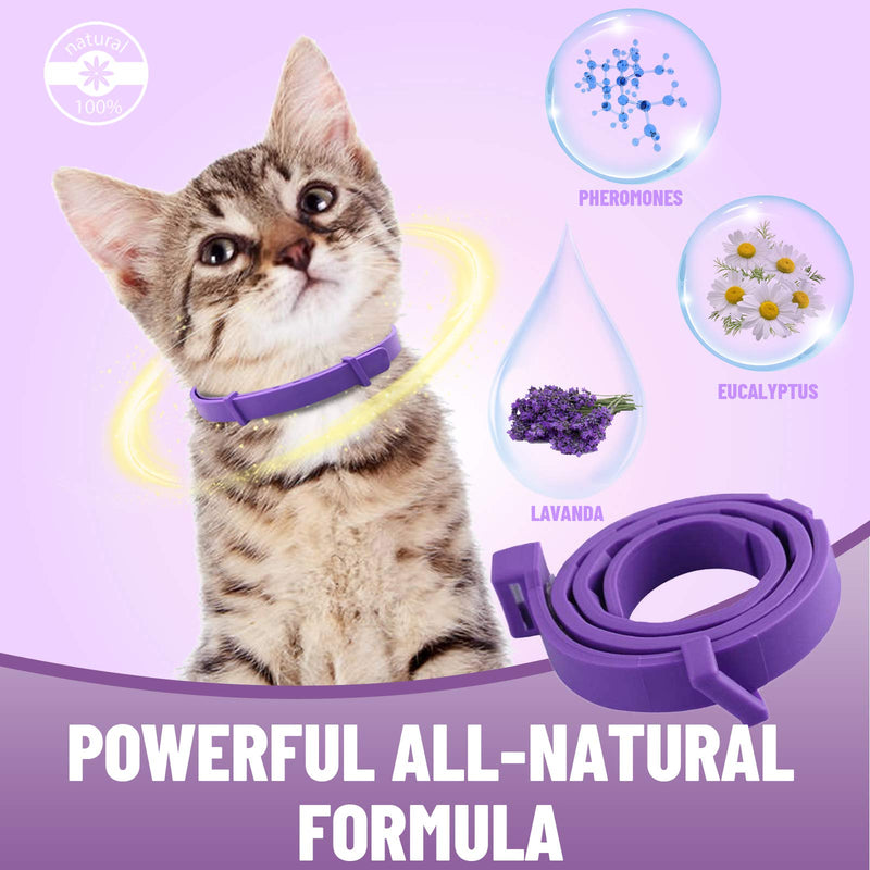 Calming Collar for Cats, Adjustable Anti-Anxiety Pheromone Cat Calming Collars, Break-away Waterproof Natural Long Lasting Calming Effect Stress Relief Pet Collars for Small Medium and Large Cats 2 Packs - PawsPlanet Australia