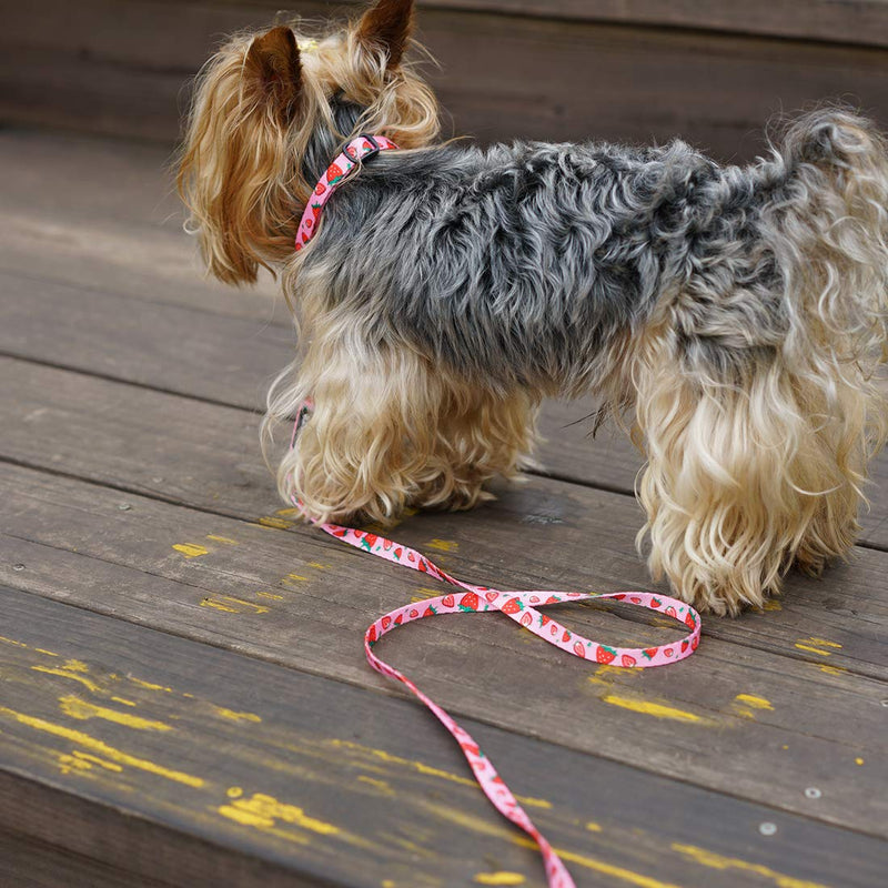 [Australia] - azuza Dog Collar and Leash Set, Cute Fruit Patterns, Adjustable Nylon Collar with Matching Leash for Small Medium and Large Dogs S (Neck: 11"-16") Strawberry 