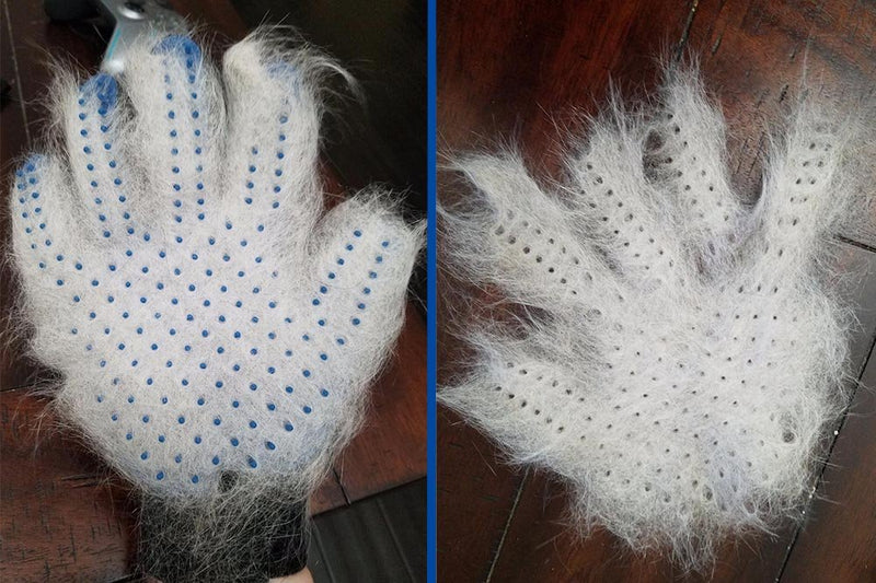 [Australia] - [Upgrade Version] Pet Grooming Glove - Gentle Deshedding Brush Glove - Efficient Pet Hair Remover Mitt - Enhanced Five Finger Design - Perfect for Dog & Cat with Long & Short Fur - 1 Pair 1 Pair (Blue) - Upgrade Version 