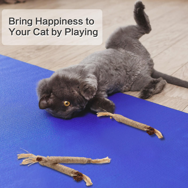 SPOKKI 6 pieces catnip sticks, cat toy set, matatabi stick for cats, dental care, removal of tartar and refreshing breath, organic interaction - PawsPlanet Australia