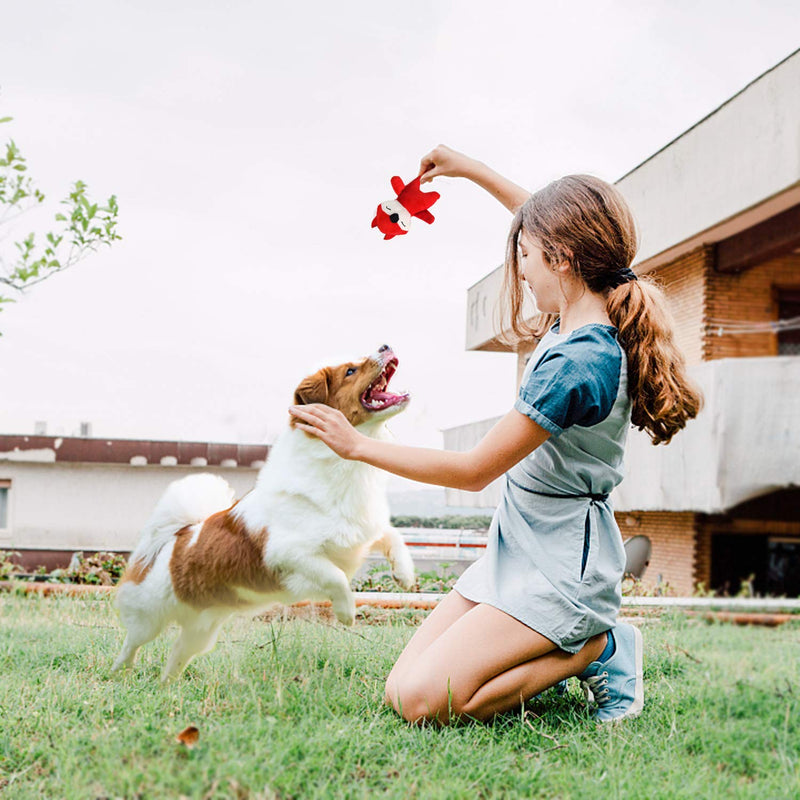 LEGEND SANDY Squeaky puppy toy, suitable for small and medium dogs, filled with loose puppy toys, equipped with 12 plush dog toy sets, suitable for puppy teething. - PawsPlanet Australia