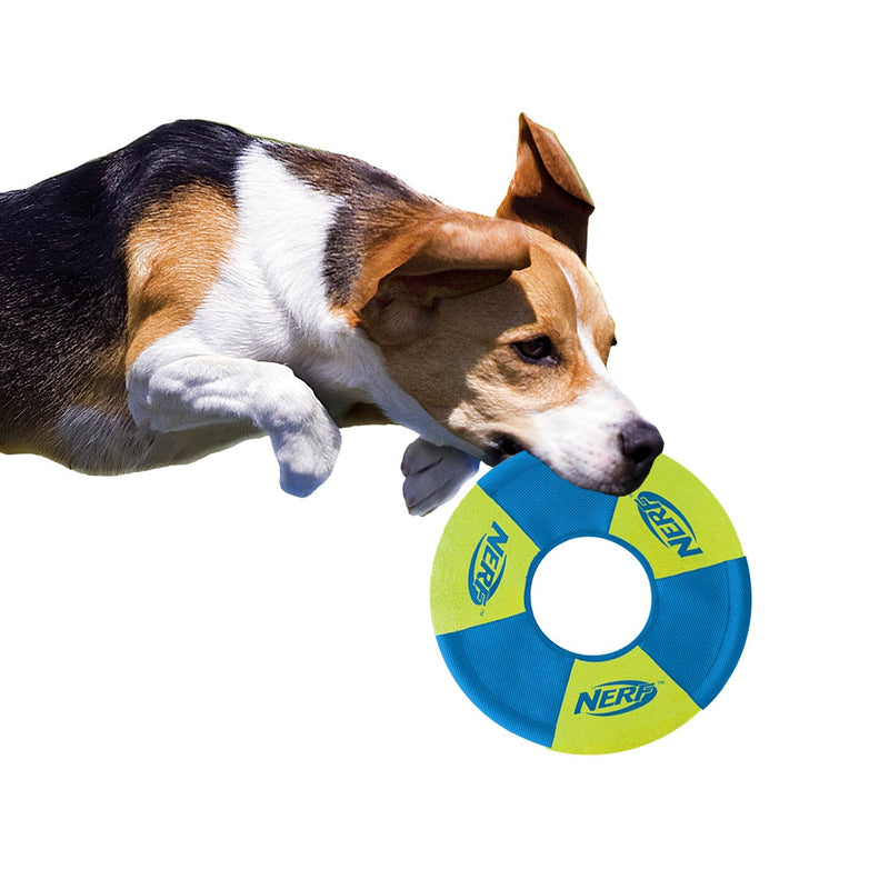 Nerf Dog Toss and Tug Ring Dog Toy, Frisbee, Lightweight, Durable and Water Resistant, 9 Inch Diameter, For Medium/Large Breeds, Two Pack, Green and Orange - PawsPlanet Australia
