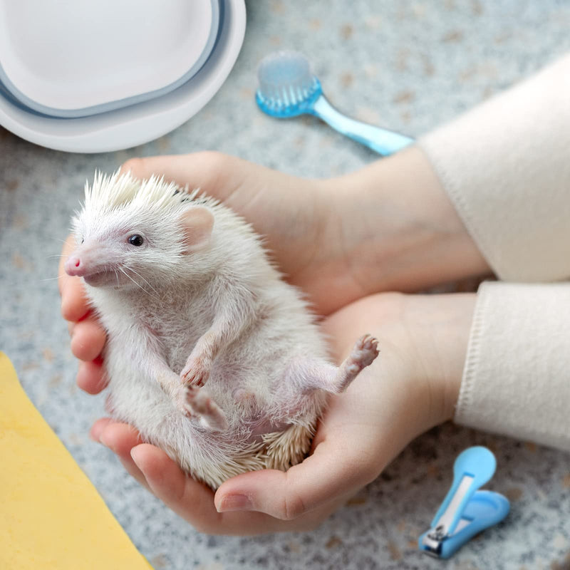 5 Pcs Hedgehog Bath Supplies Hamster Sand Bath Small Animal Pet Bathroom Include Foldable Bathtub, 2 Pcs Cleaning Brush Tool, Bath Towel, Clippers Claw Trimmer for Hamster Gerbil Squirrel(Blue-White) Blue-White - PawsPlanet Australia