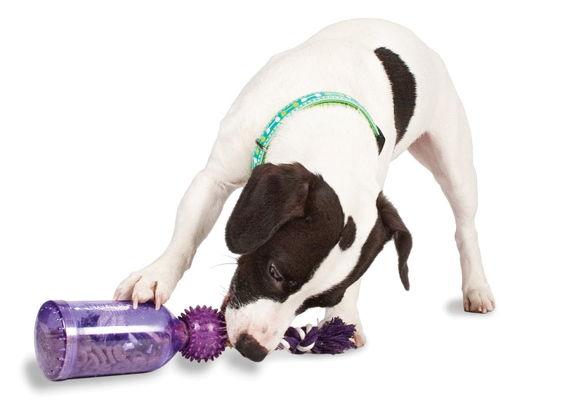 PetSafe Busy Buddy Tug-A-Jug M/L and Interactive Meal Dispensing Dog Toy, Purple, Medium/Large - PawsPlanet Australia