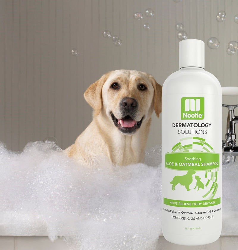 [Australia] - Nootie ❶ Dog Shampoo with Soothing Aloe Best for All Pets Including Dogs, Cats, and Horses - 100% All Natural Deodorizing Soap Free Formula Provides Itchy Skin Relief - 16 Oz. 