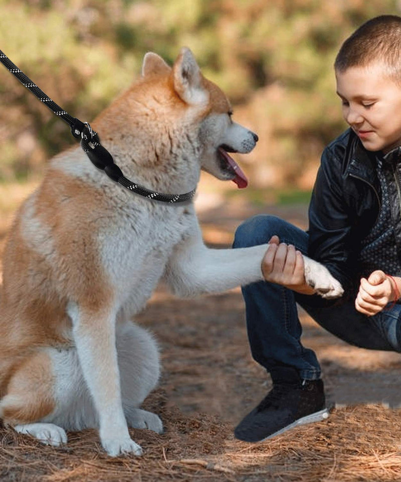 [Australia] - Joytale Dog Slip Leash Rope - Reflective Training Leads for Small Medium Large Dogs - 3/8 & 1/2 inch by 6 Feet 3/8"x6' Black 