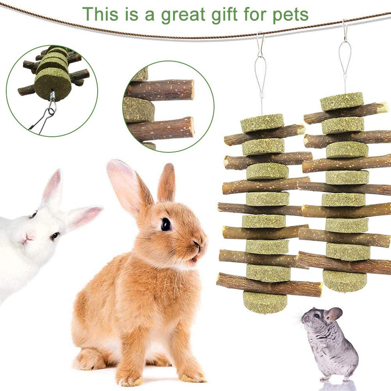 2PCS Hamster Bunny Chew Toys for Teeth, BESTZY Apple Sticks Pet Chew Toys Hamster Chew Toys Gerbil Rat Guinea Pig Chinchilla Chew Toys Accessories - PawsPlanet Australia