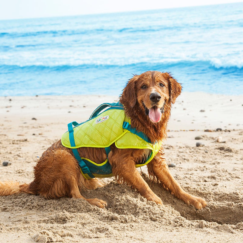 Outward Hound Standley Sport Experienced Swimmer Life Jacket for Dogs MD - PawsPlanet Australia