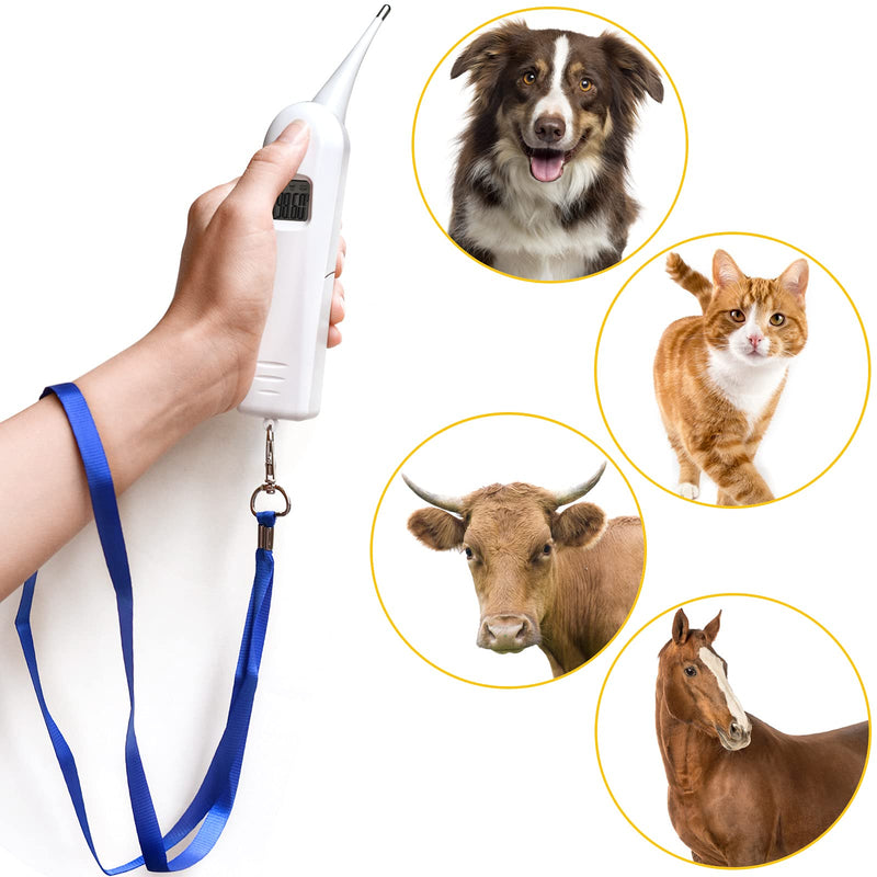 MEETI Pet Veterinary Thermometer, Pet Thermometer, Animal Temperature Monitor, Fast Read Digital Veterinary Thermometer for Dog, Cat, Horse, Pig, Rabbit, Hamster, Guinea Pig - PawsPlanet Australia
