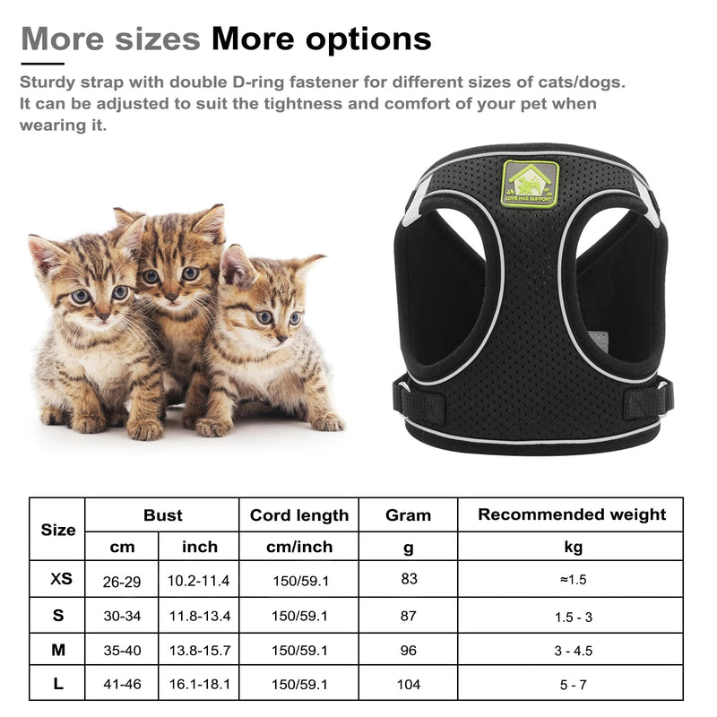 NeuWee cat harness with leash, escape-proof, cat harness leash set with cat collar, cat leash with harness for cats, adjustable cat harness for small dogs, large cats (black, L) black - PawsPlanet Australia