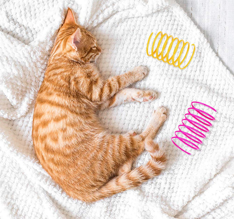 DMFSHI Cat Spring Toy, 64 PCS Colourful Springs Cat Toys, Plastic Coil Spiral Springs Durable Interactive Toys for Cat Kitten Pets, Cat Toys for Swatting, Biting, Hunting - PawsPlanet Australia