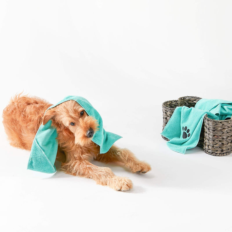 Bone Dry Pet Drying Collection Embroidered Terry Microfiber Towel Aqua Pet Towel Small Set, 15x30" - PawsPlanet Australia