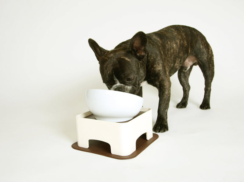 [Australia] - Hario Wan Table for Dog Bowls (Chocolate Brown) 