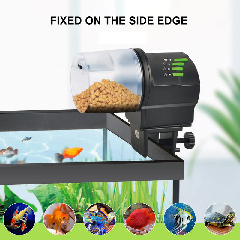 Automatic Fish Feeder Food Dispenser Vacation Feeder Powered by Battery and USB for Fish Tank Aquarium and Turtle Tank with Feeding Ring - PawsPlanet Australia