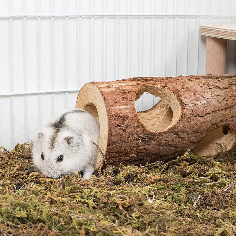 ANCLLO Hamster Tunnel Tube Natural Wooden Playing Hut Forest Hollow Tree Trunk Peep Hole Design for Squirrel Mice Chinchilla Chipmunk Small Animals - PawsPlanet Australia
