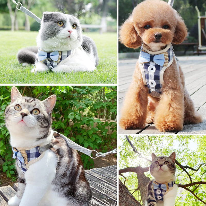 N\A Escape-Proof Cat Kitten Harness with Leash Set Adjustable Soft Kittens Vest Walking Jacket Leash for Small Medium Cats - PawsPlanet Australia