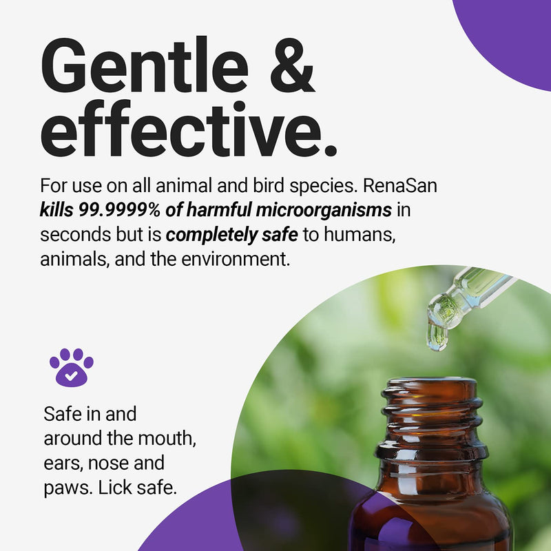 RenaSan Antiseptic Eye Drops (60 ml) – Alcohol-Free, Non-Irritating and Natural Eye Cleaning Solution for Dogs, Cats, Reptiles, Poultry, Avian & Livestock - PawsPlanet Australia