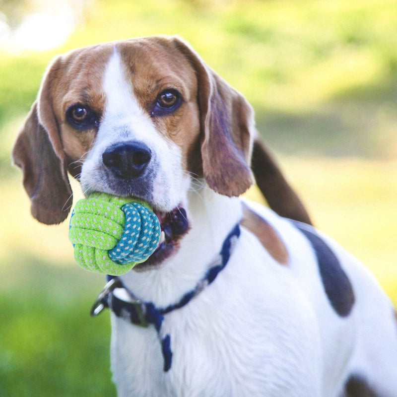 7 Pieces Dog Rope Toys Pet Rope Chew Toy Dog Chew Toy Teething Training Pet Supplies for Dog Interactive Toy Dental Health - PawsPlanet Australia