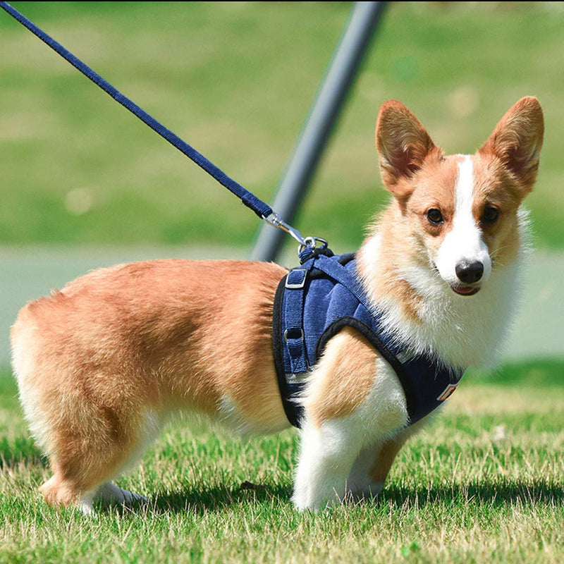 Cat Harness and Leash for Walking, Plush Dog Harness - Soft Plush, Step in Vest for Small and Medium Dogs and Kitten Puppy for Winter, with Pet Car Seat Belt blue-l - PawsPlanet Australia