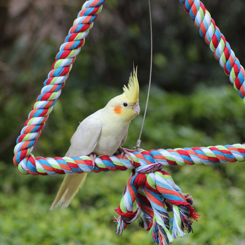 KINTOR Big Triangle Rope Swing Bird Toy Parrot Cage Toys Cages Conure African Grey Medium - PawsPlanet Australia