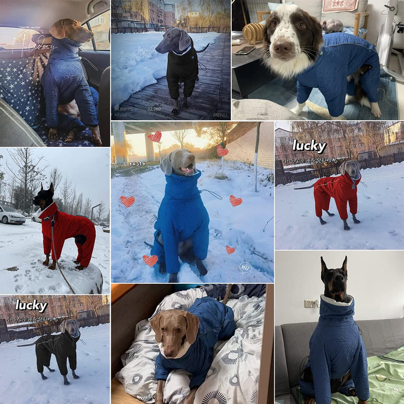 Winter Dog Coat Dog Cold Weather Coats Pet Dog Clothes Windproof Dog Sweater Warm Fleece Padded Winter Dogs Cats Puppy Small Medium Large Black S - PawsPlanet Australia