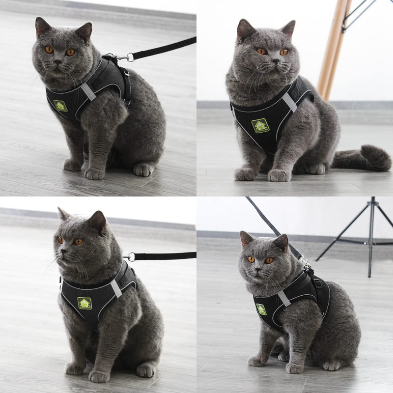 NeuWee cat harness with leash, escape-proof, cat harness leash set with cat collar, cat leash with harness for cats, adjustable cat harness for small dogs, large cats (black, L) black - PawsPlanet Australia