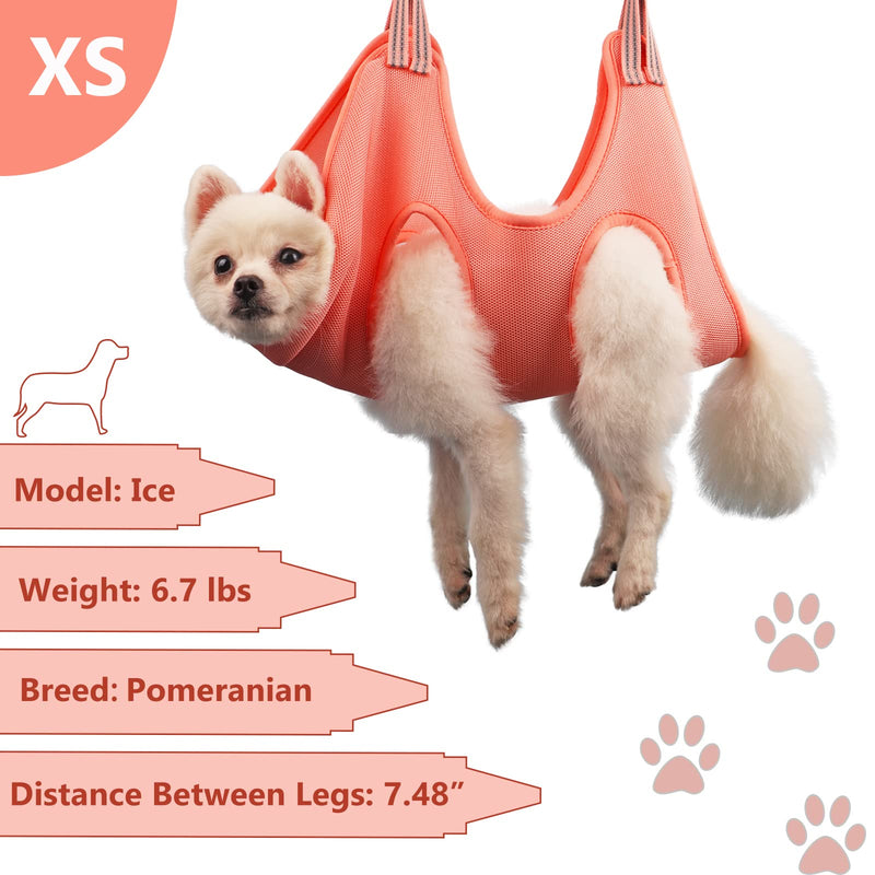 DaizySight Pet Grooming Hammock Supplies Kit for Cats, Small Puppies and Mini Dogs - Size: XS, Hanging Harness for Nail Trimming Pet Grooming Table Shower & Bath Accessories - PawsPlanet Australia