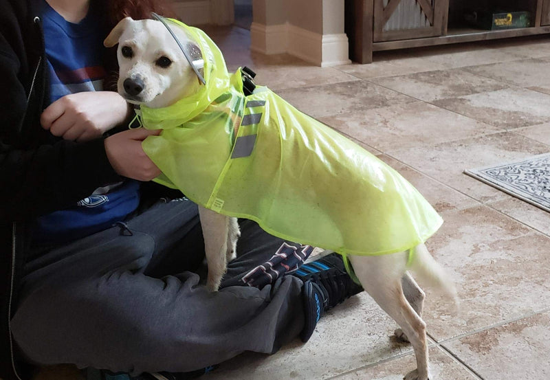 [Australia] - BINGPET Dog Raincoat for Small to Large Dogs - Waterproof Pet Rain Jacket with Hood ¨C Reflective/Lightweight Rain Poncho Yellow M 