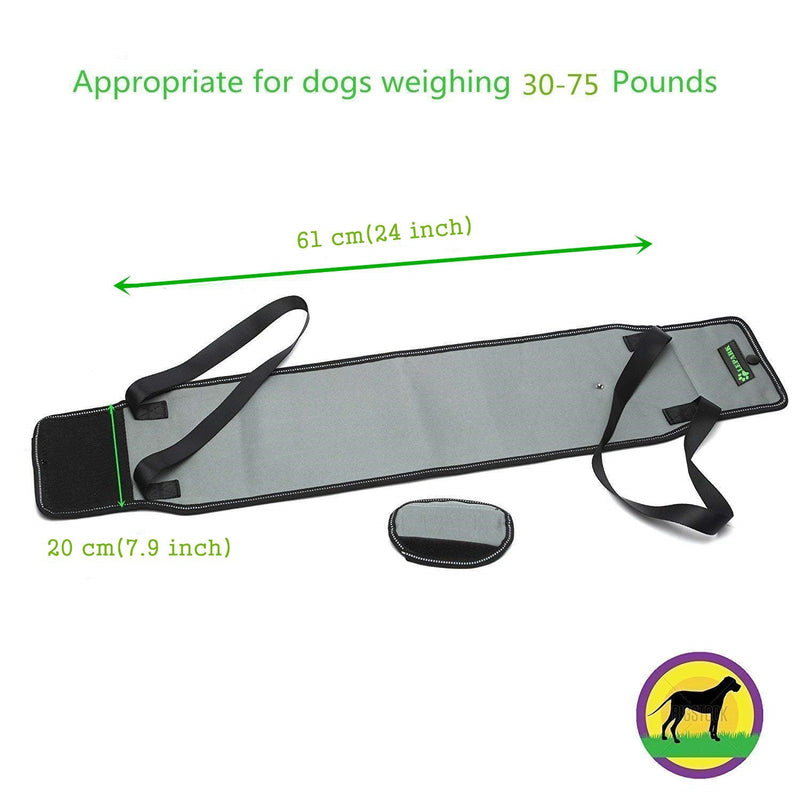 RockPet Dog Support Sling with Handle for Canine Aid, Veterinarian Approved Dog Lift Harness for Rehabilitation (M,Grey) - PawsPlanet Australia