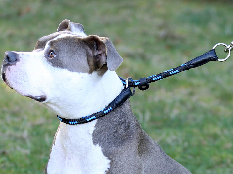 [Australia] - Dogs My Love Round Braided Rope Nylon Choke Dog Collar with Sliding Stopper 24" Long; 0.5" Diam (12mm) Blue/Black 