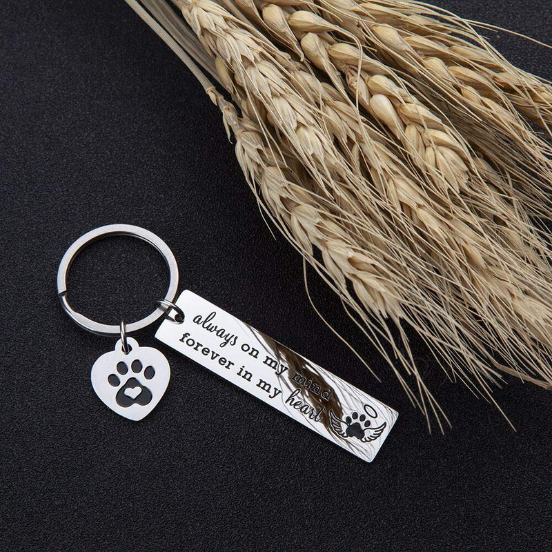 [Australia] - Pet Dog Memorial Keychain for Pet Dog Cat Lover Sympathy Gift Loss of Dog Personalized Remembrance Key Chain with Dog Cat Paw Prints Gifts Forever in My Heart for Pet Owner Men Women 