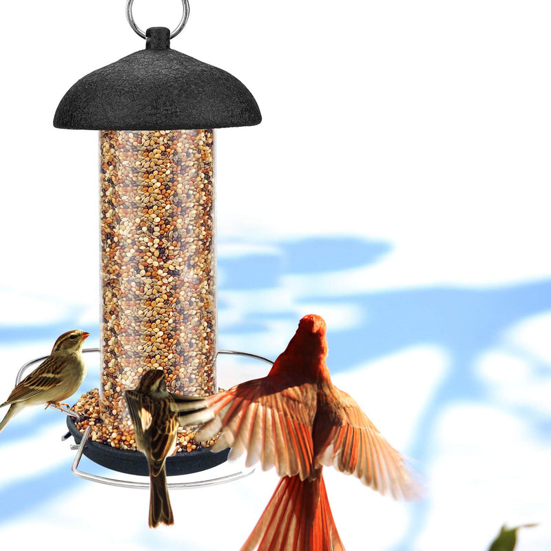 Urban Deco Hanging Mini Bird Feeders Set Metal Tube Mixed Seed Feeder with Hanger Peanut Feeder for Garden Outside Yard Great for Attracting Wild Birds (Black-2 Pack) Black - PawsPlanet Australia