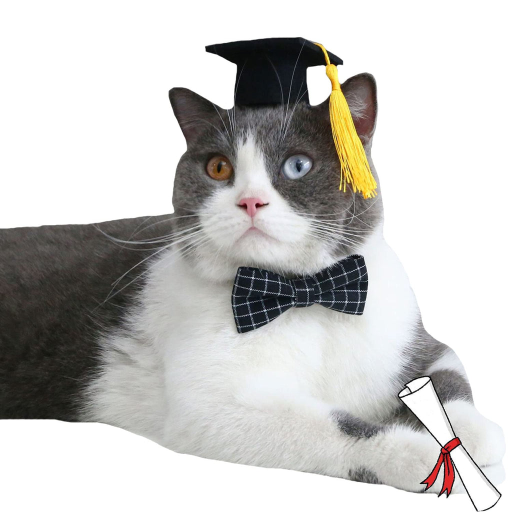 FLAdorepet Dog Graduation Caps with Bow Tie Necktie Pet Graduation Hats with Yellow Tassel Cat Graduation Costume Outfits Accessory for Dogs Cats (S(Suit for 5-20LBS), Black) S(Suit for 5-20LBS) - PawsPlanet Australia