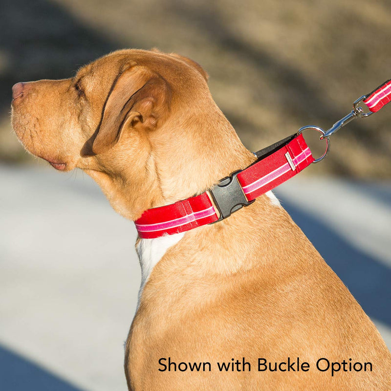 [Australia] - If It Barks - 1.5" Martingale Collar for Dogs - Adjustable - Nylon - Strong and Comfy - Ideal for Training - Made in USA Medium w/Buckle Patriotic 