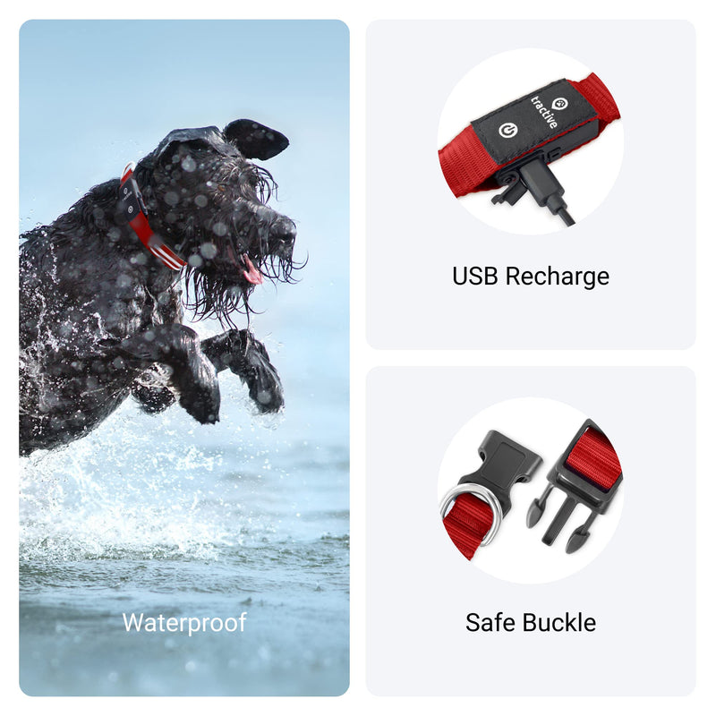 Tractive LED Light Up Dog Collar - 3 Light Modes for Night Walking, Waterproof, Rechargeable, Up to 10 Hours of Battery, Red (Large) LED Collar Large - PawsPlanet Australia